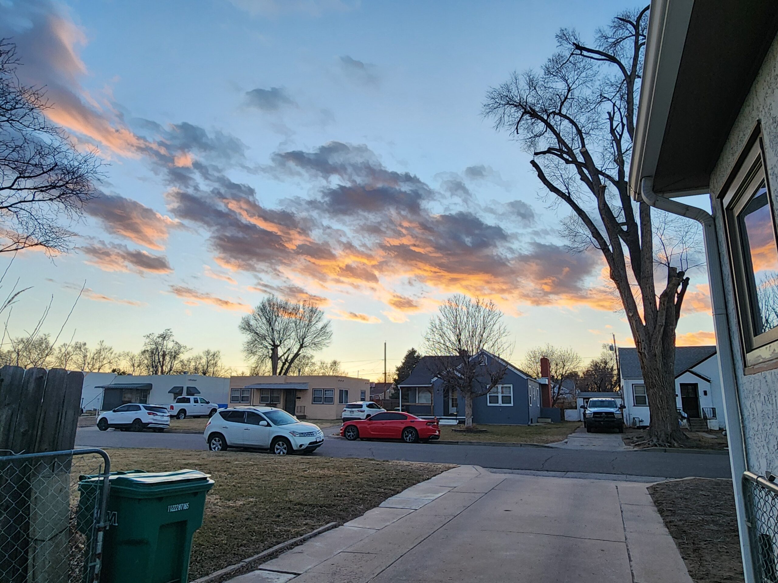 Week 14: Momentum, Resistance, and Showing Up Anyway